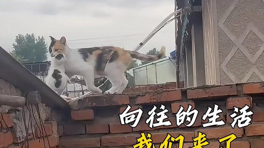 解决方案 第19页