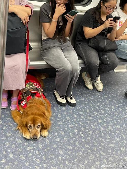 解决方案 第15页